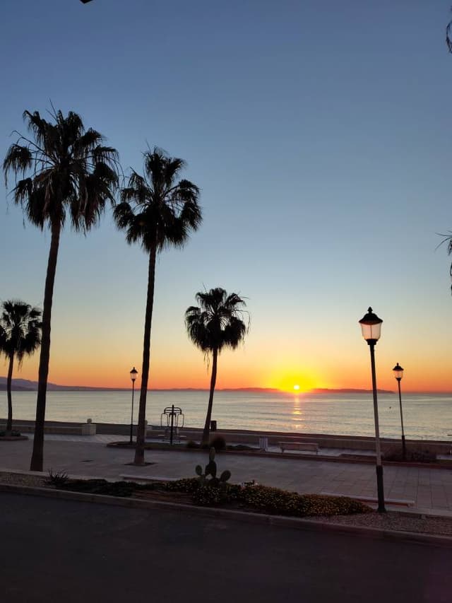 Photo 3 by martin C. (3/31/26)