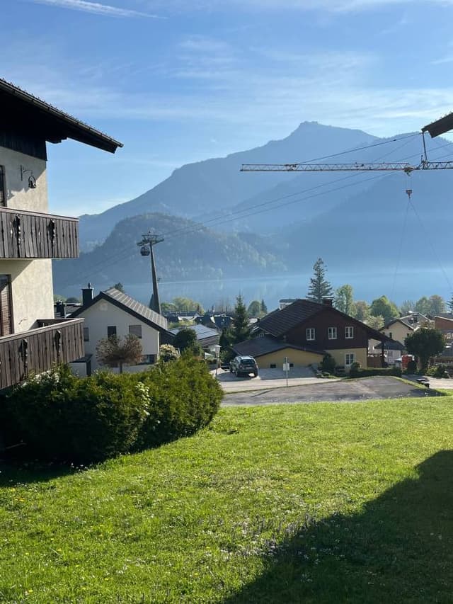 Photo 8 by Orly E. (4/15/24)