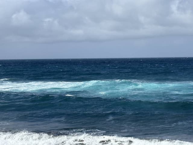 Photo 4 by Michael B. (2/27/25)