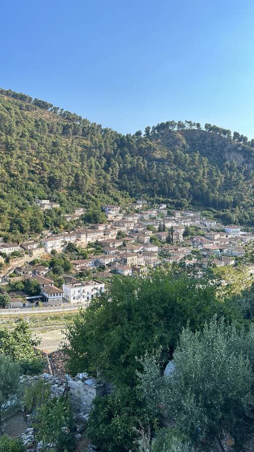 Foto 11 van Carmen D. (26-7-24)