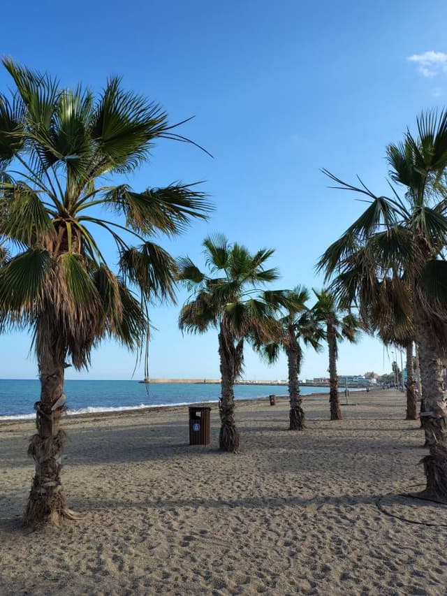 Photo 4 by martin C. (3/31/26)