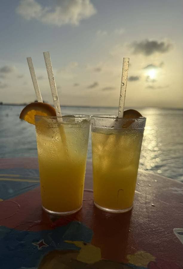 Photo 5 by Brent P. (2/8/26)