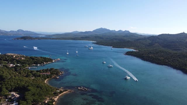 Photo 9 by Anna K. (5/30/25)