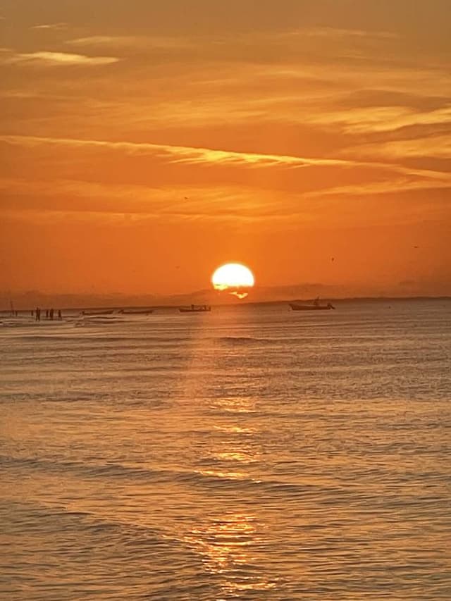 Photo 5 by Alberto B. (1/9/24)