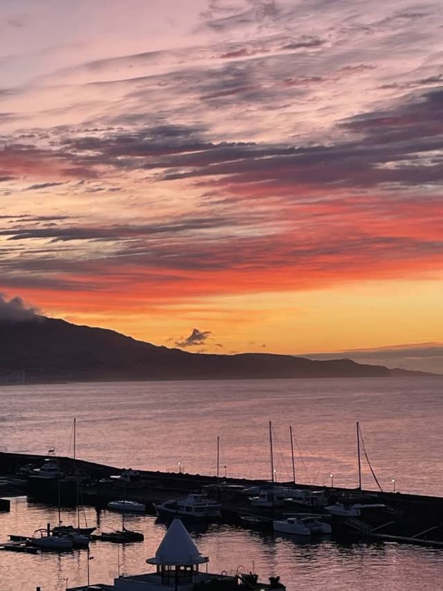 Photo 6 by Mitchell M. (3/6/25)