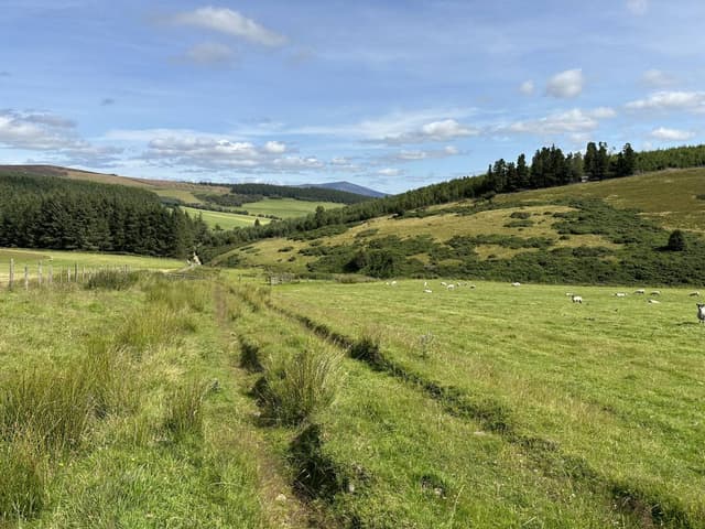 Photo 6 by Frederick B. about renting a Ford Fiesta in Glasgow (8/2/24)