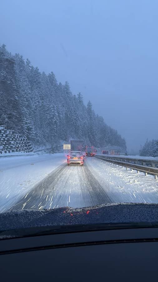 Photo by Sacha D. (1/9/26)