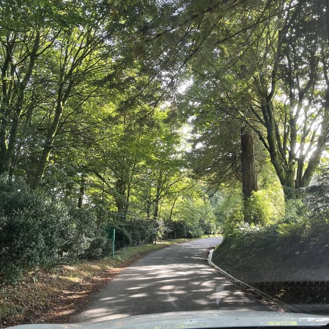 Photo 11 by Kim D. (9/17/24)