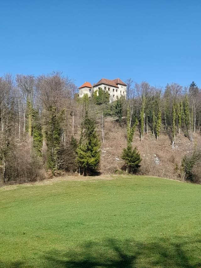 Photo 24 by Kevin B. (3/13/26)