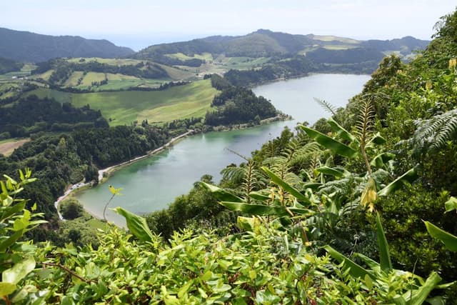 Photo 5 by Roman M. (8/21/24)