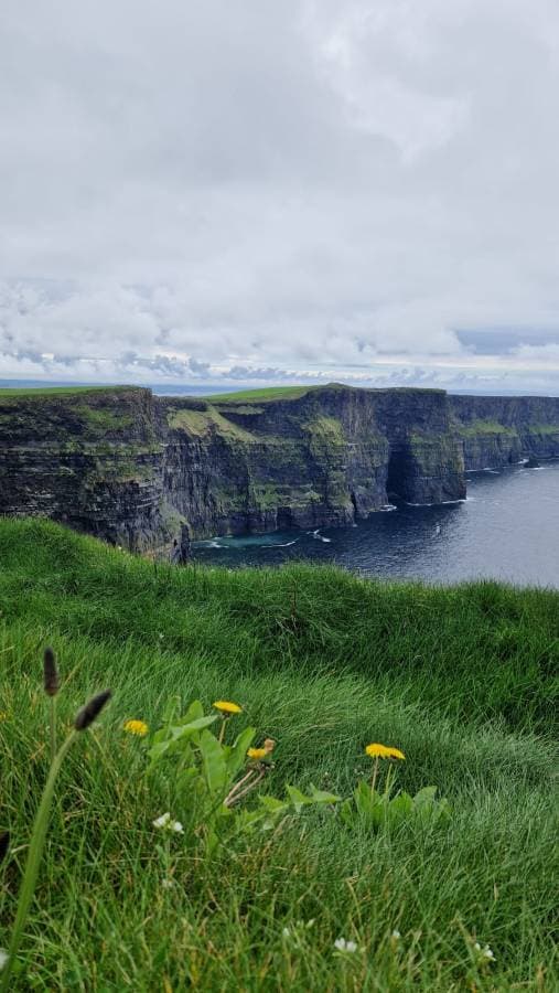 Photo 8 by Catalin C. (5/11/24)