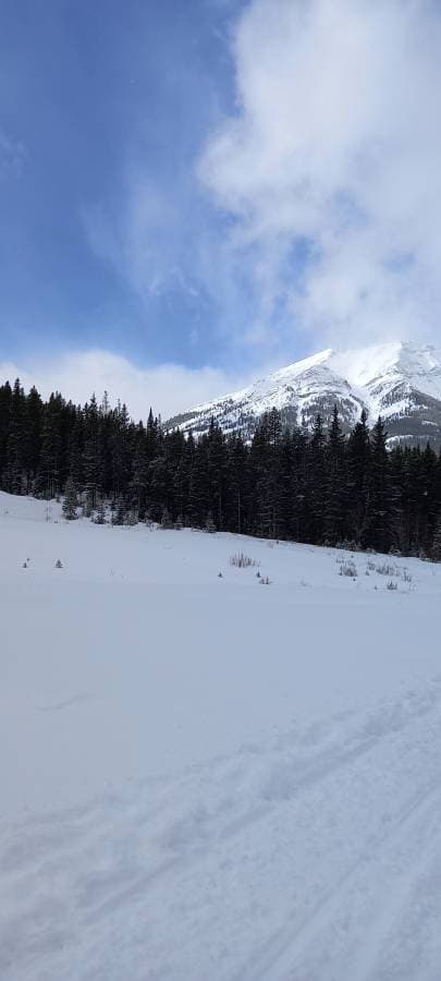 Photo 3 by Lisa P. about renting a Nissan Versa in Calgary (3/19/23)