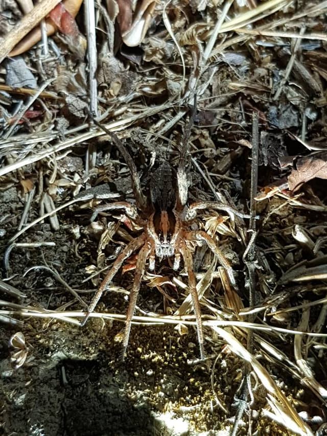 Foto 2 von Thomas A. (8.8.22)