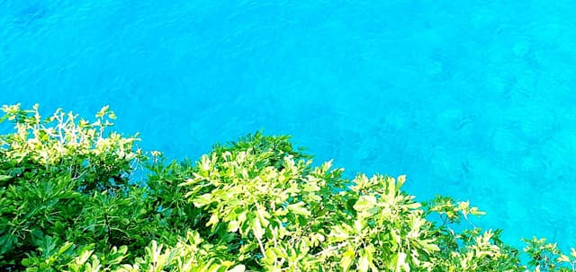 Photo 8 by Daniel P. about renting a Volkswagen Polo in Zagreb (8/25/24)