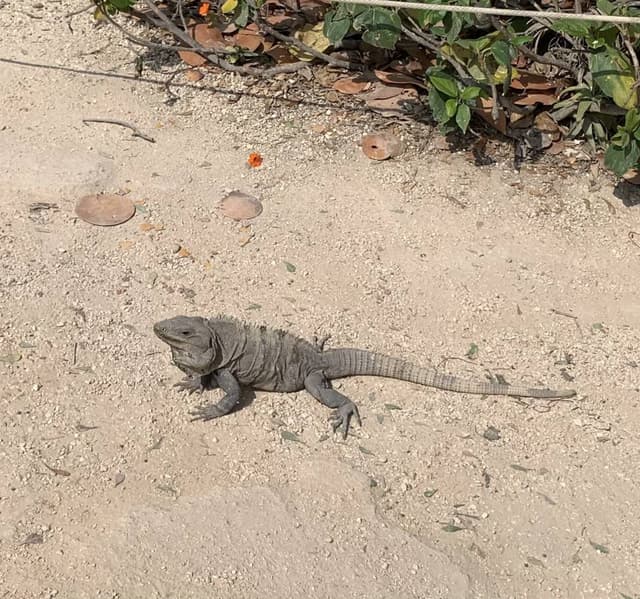 Photo by Graham E. (4/14/23)