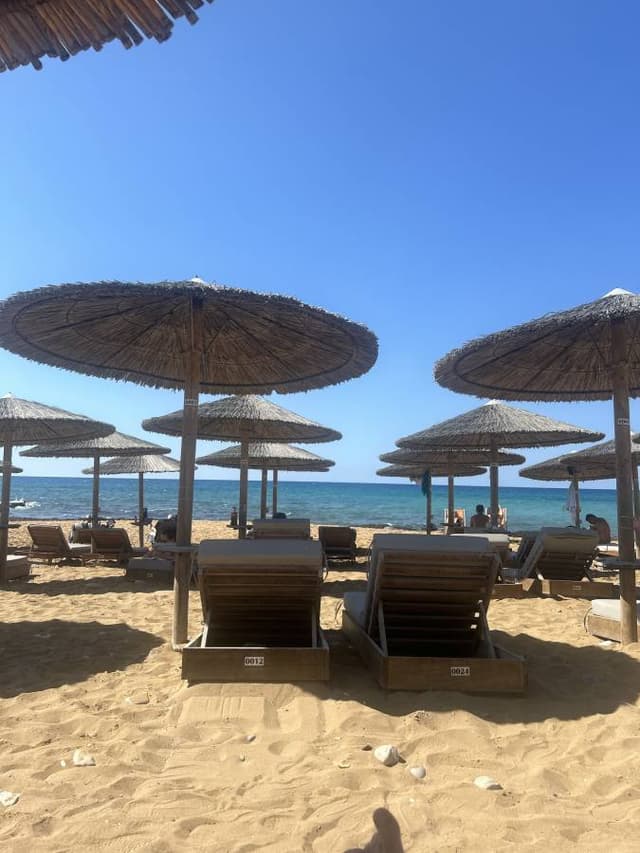 Photo 2 by gary R. about hiring a Suzuki Alto in Paphos (08.10.24)