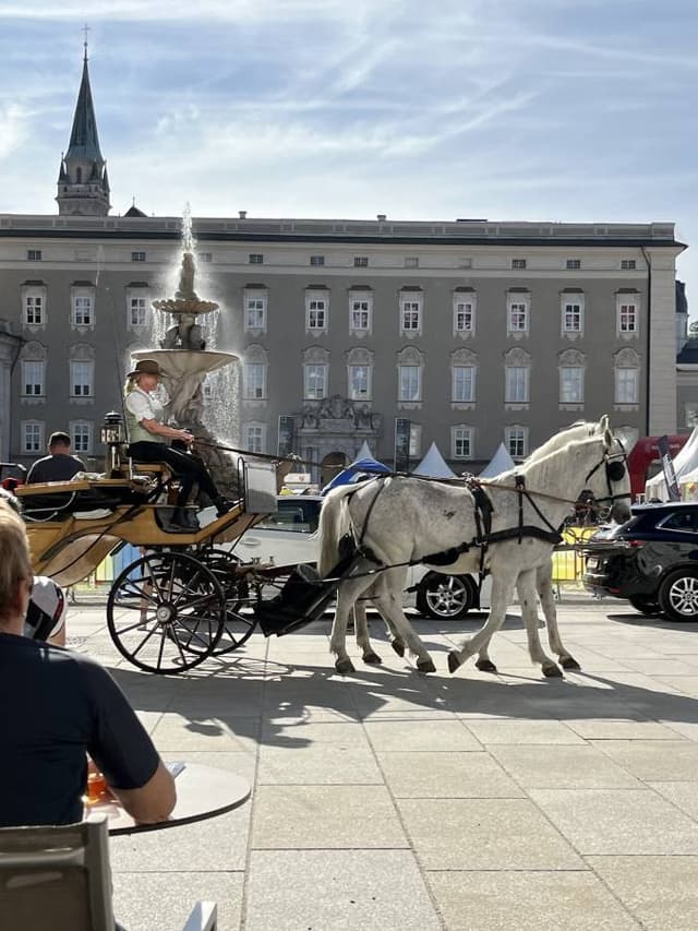 Photo 9 by Orly E. (4/15/24)