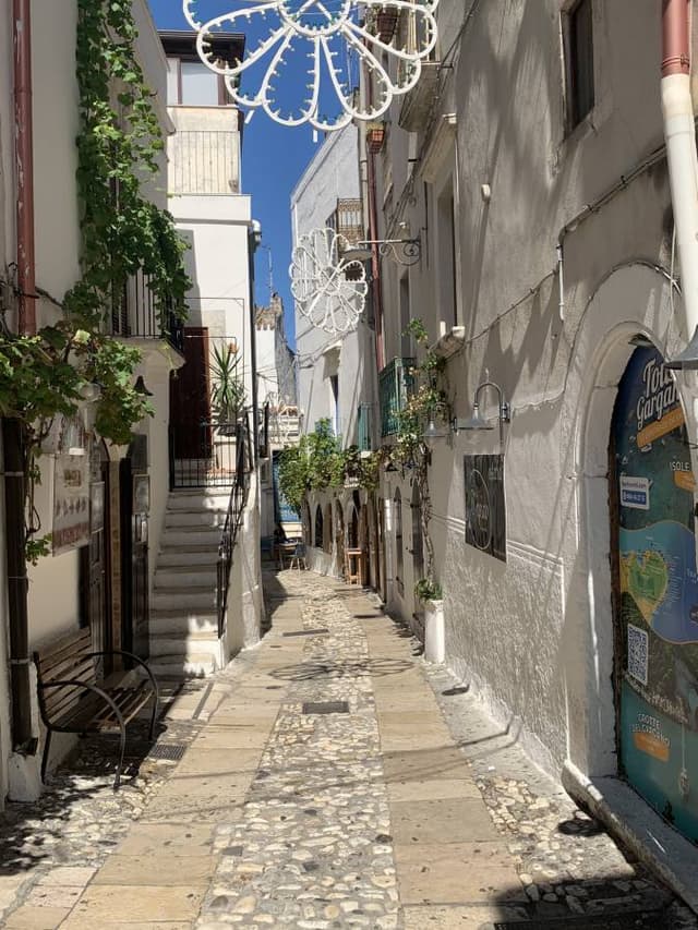 Photo 4 by Adrian G. (9/29/25)