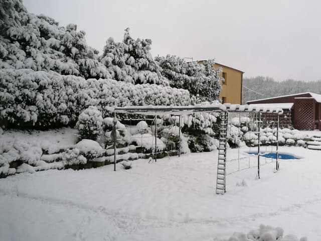 Photo 9 by Pawel W. (12/30/23)