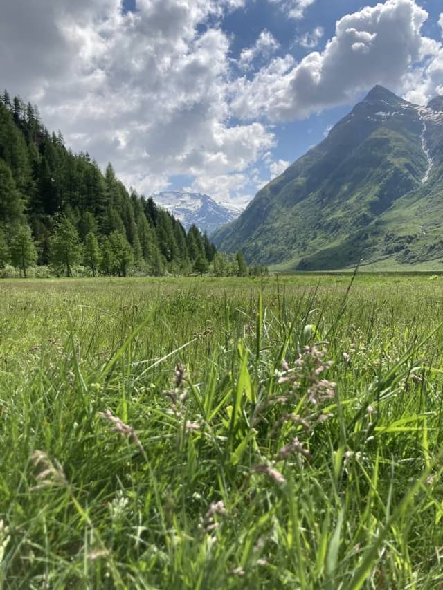 Photo 5 by Ester K. (6/16/23)