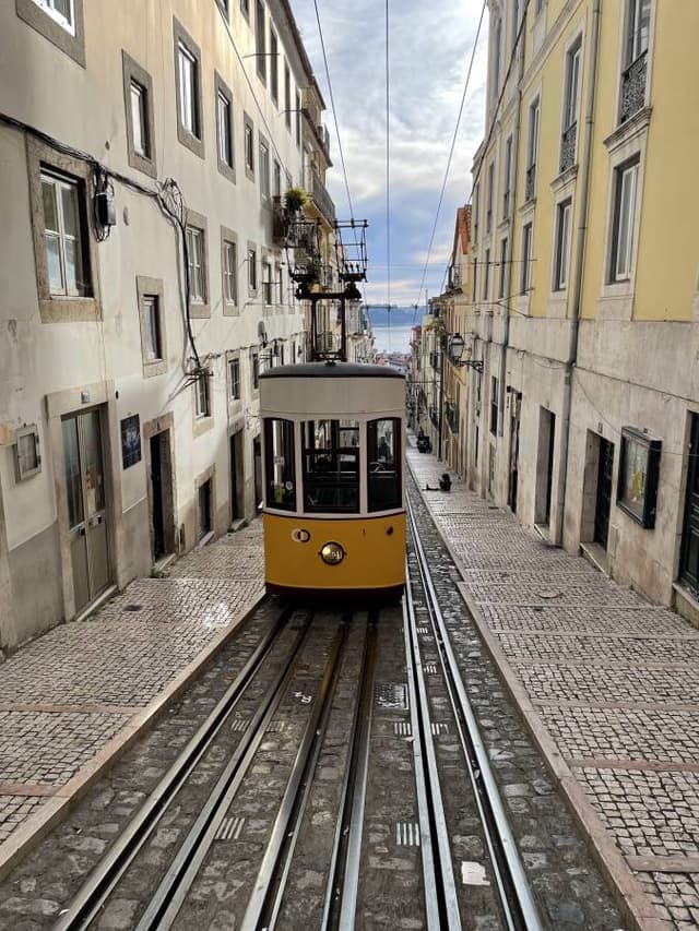 Foto 7 di Marco Sergio T. (31/12/24)