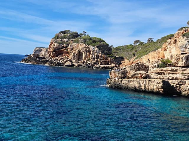 Photo 5 by Przemyslaw P. (10/8/24)