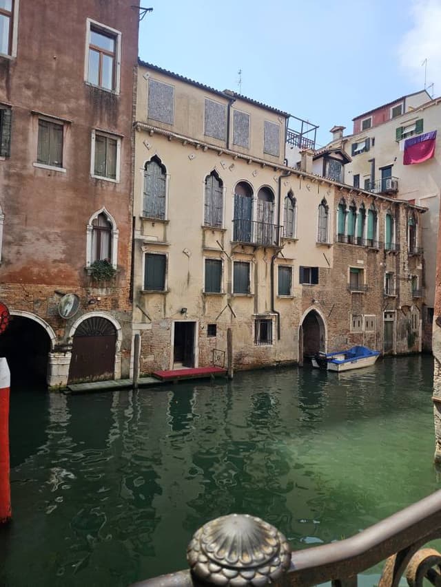 Photo 6 by Leonid O. (7/31/24)