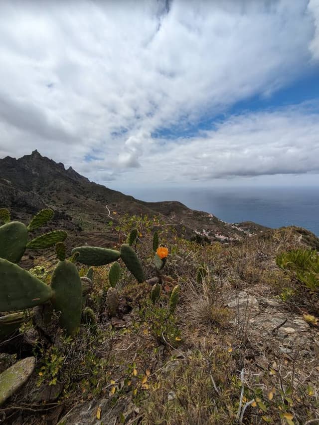 Photo 2 by Joost K. (6/26/24)