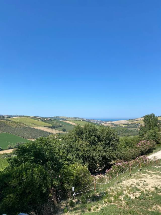 Foto 4 di andrea S. (13/08/25)