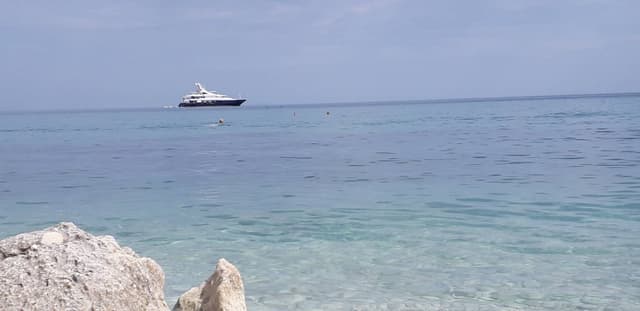 Photo 3 by Vasile E. (10/15/23)