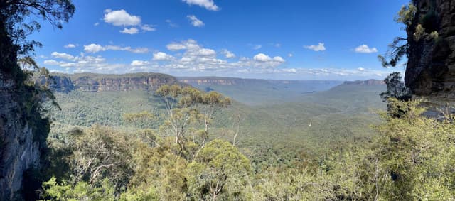 Photo 4 by Ronald D. (10/29/25)