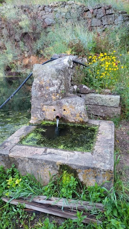 Photo 9 by Marjanne L. (5/10/26)