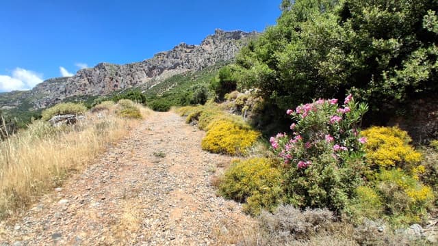 Photo 12 by Peter F. (6/21/26)