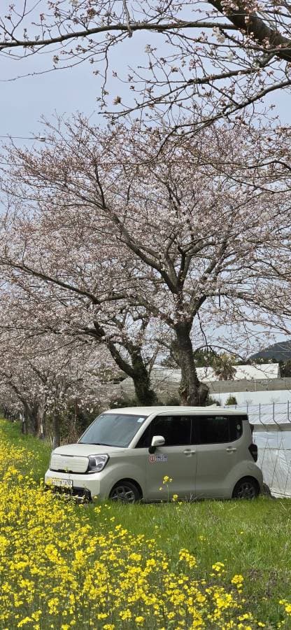 Photo by yuk kwan alexander N. (4/1/25)