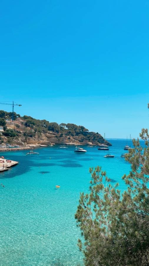 Photo by marcos F. (7/21/25)