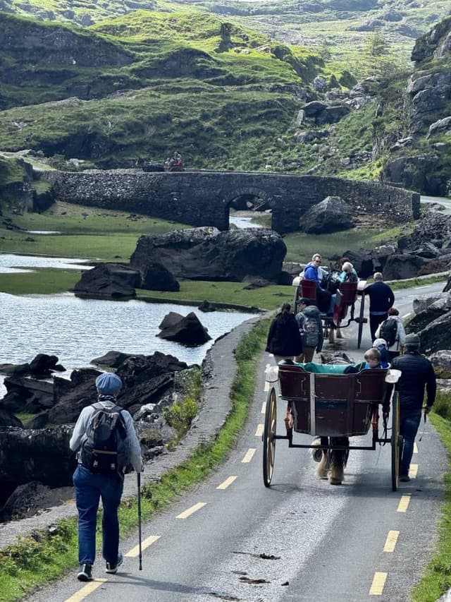 Photo 2 by Roy R. (6/24/25)