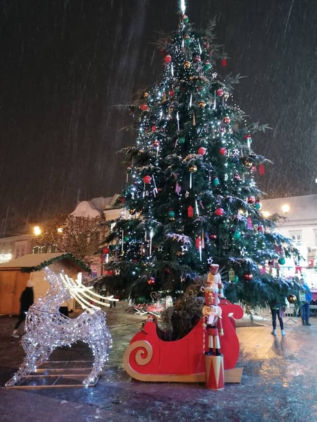 Photo 10 by Pawel W. (12/30/23)