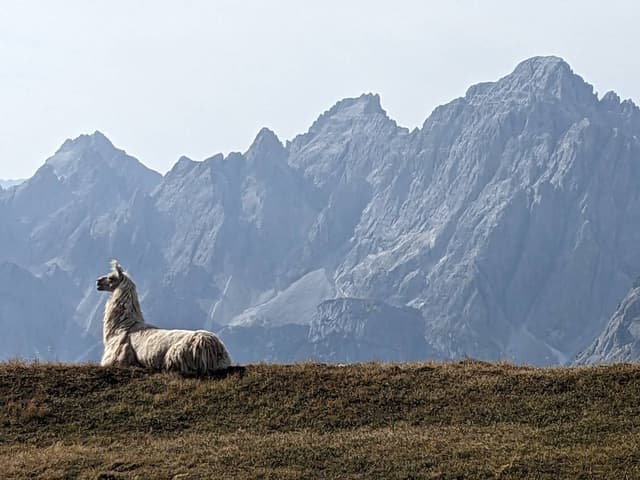 Photo 6 by David C. about hiring a Fiat Tipo STW at Venice Airport (16/09/23)
