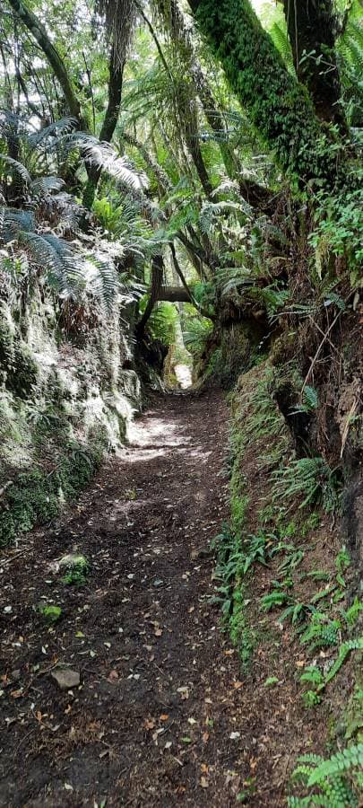 Photo 9 by Michael D. (2/5/26)