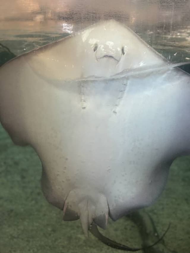 Photo 4 by Stephanie D. (9/4/25)