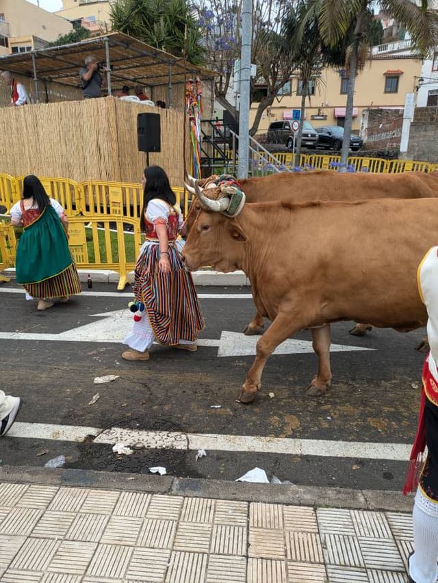 Photo 3 by Joost K. (6/26/24)