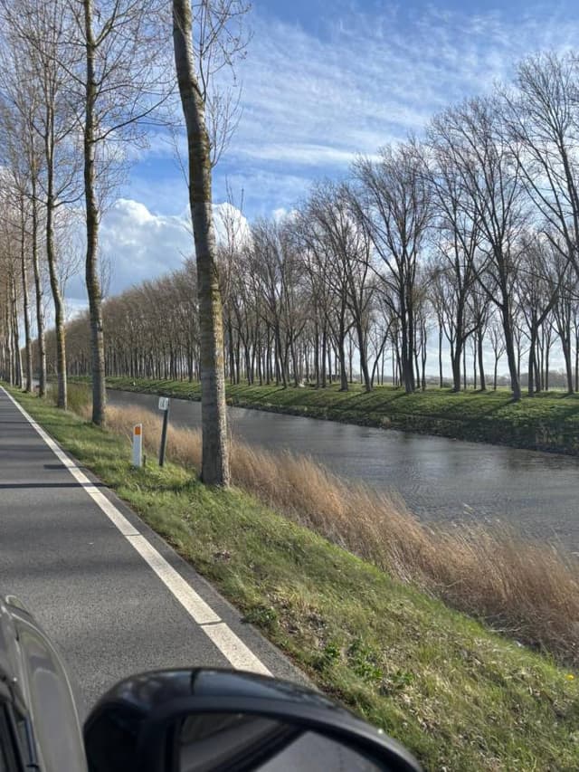 Photo 9 by Chantal S. (4/10/26)