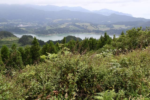 Photo 6 by Roman M. (8/21/24)