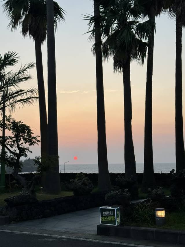 Photo 8 by Phoebe T. (9/10/24)