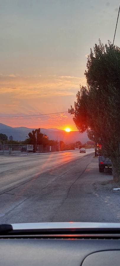 Photo 4 by Edith P. (9/2/23)