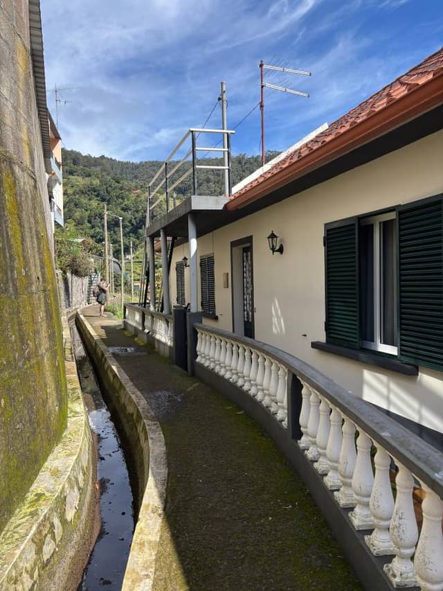 Photo 9 by Monica N. (2/24/25)