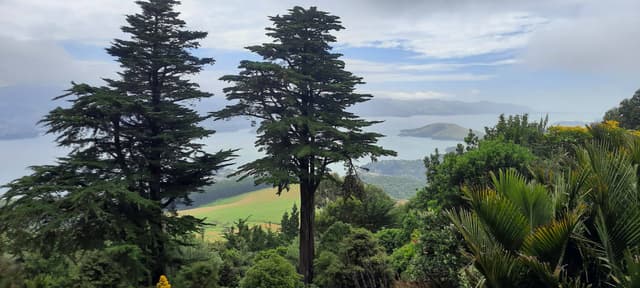 Photo 10 by Michael D. (2/5/26)