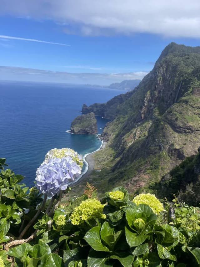 Photo 4 by Lepa G. about hiring a Citroën C1 in Madeira (10/05/24)