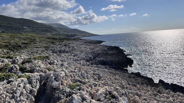 Foto 5 van Christiaan T. (2-5-25)