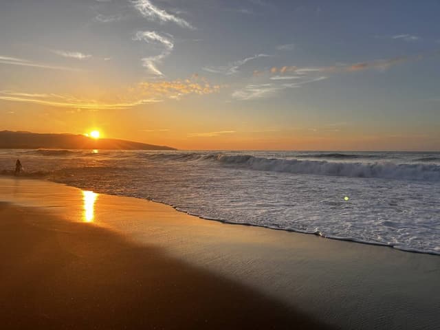 Photo 4 by John C. (8/29/24)